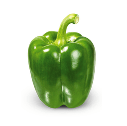 Capsicum